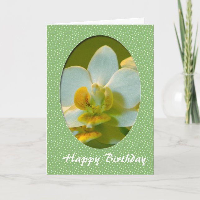 Happy Birthday, white orchid flowers in green fram Card (Front)