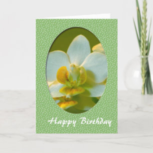 Happy Birthday, white orchid flowers in green fram Card