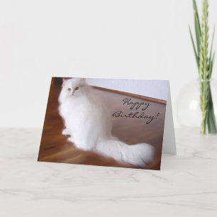Happy Birthday White Persian cat greeting card