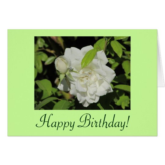 Happy Birthday White Rose Card