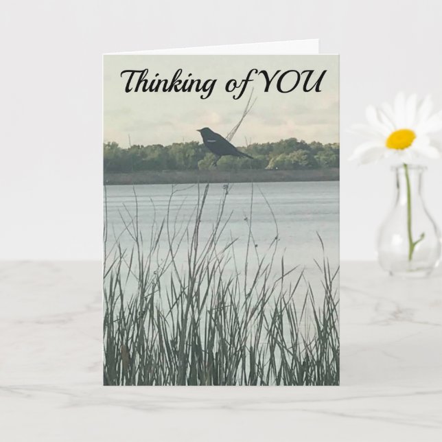 ***HAPPY BIRTHDAY*** WISH IT WAS "IN PERSON" CARD (Small Plant)