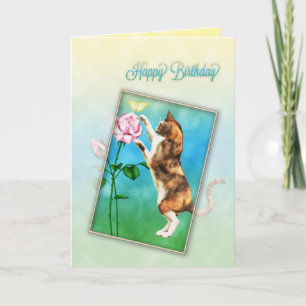 Happy Birthday with a playful cat Card