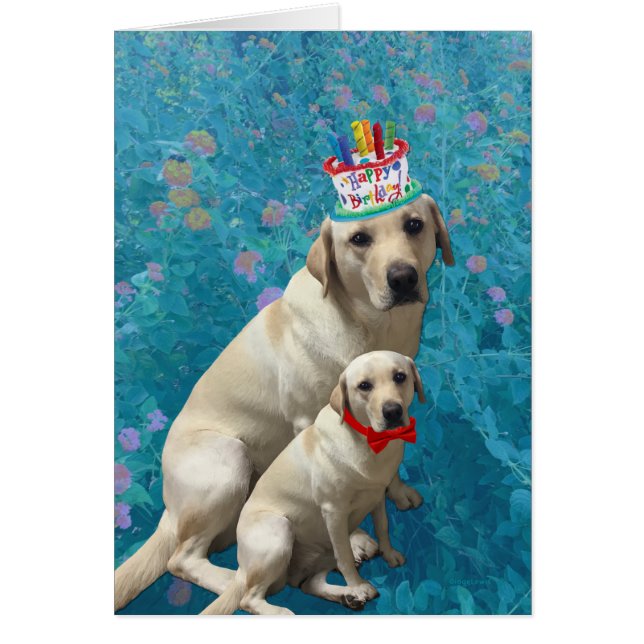 Happy Birthday with Labrador Dogs, Adorable (Front)