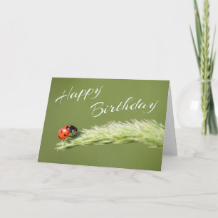 Happy Birthday with little ladybug! Card