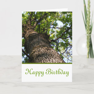 Happy Birthday with view up to a tree Card