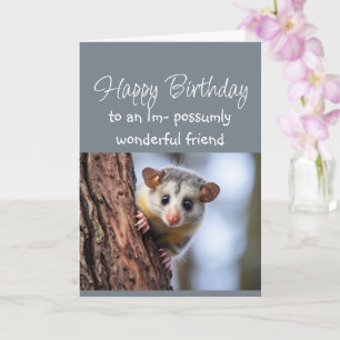 Happy Birthday Wonderful Friend Opposum Animal Card