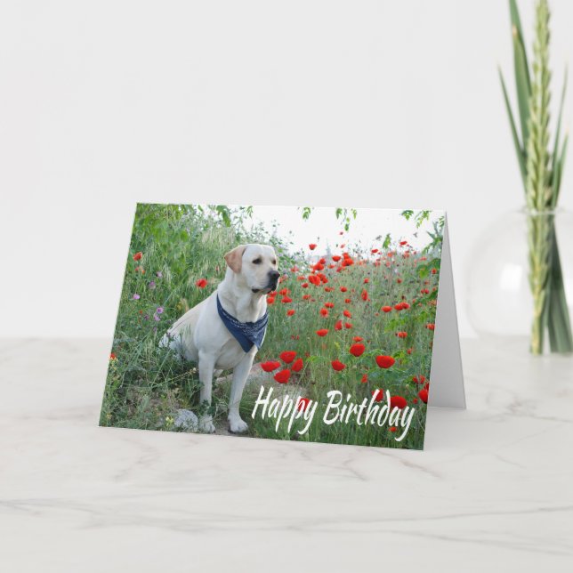 Happy Birthday Yellow Labrador Lab Puppy Dog Card (Front)