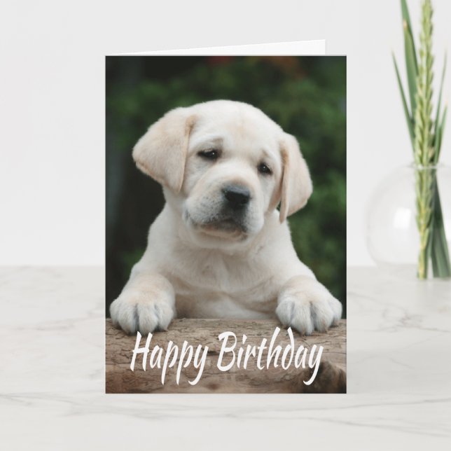 Happy Birthday Yellow Labrador Retriever Puppy Dog Card (Front)