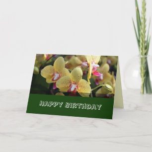 Happy Birthday, yellow orchid flowers Card