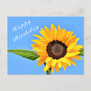 Happy Birthday - Yellow Sunflower on Blue Sky Postcard