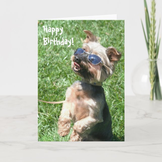 Happy Birthday Yorkshire Terrier Greeting card (Front)
