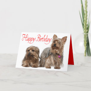 Happy Birthday Yorkshire Terrier Puppy Dog Red Card