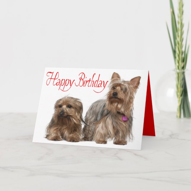 Happy Birthday Yorkshire Terrier Puppy Dog Red Card (Front)
