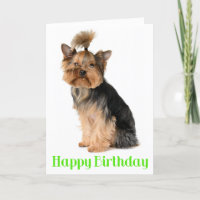 Happy Birthday Yorkshire Terrier Puppy Dog Verse