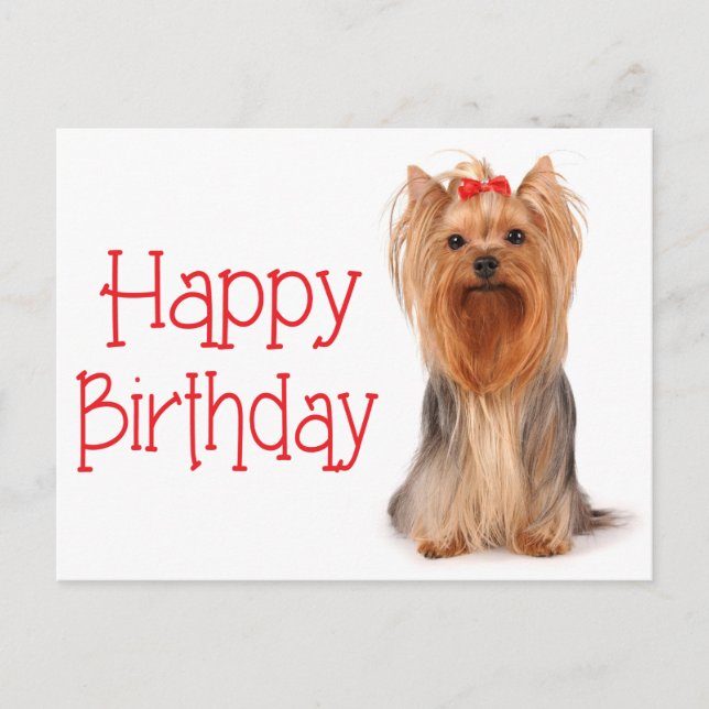 Happy Birthday Yorkshire Terrier Puppy Postcard (Front)