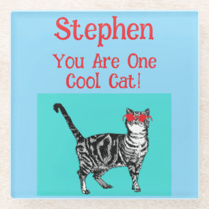 Happy Birthday You Cool Tabby Cat Mens Husband Glass Coaster