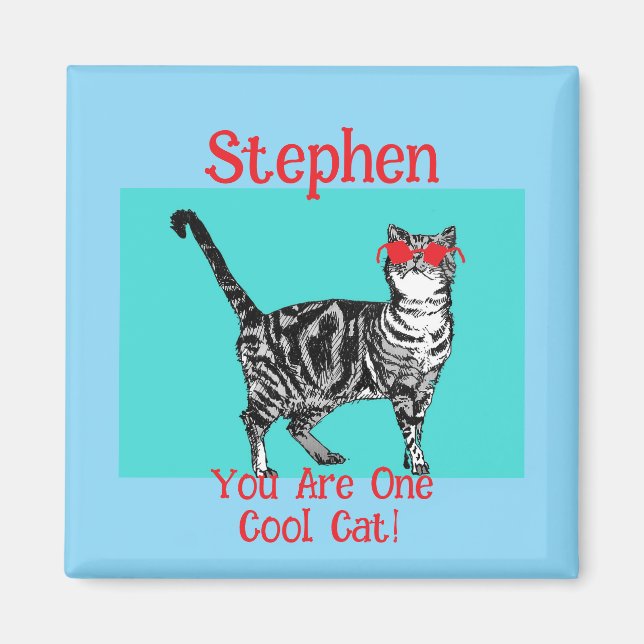 Happy Birthday You Cool Tabby Cat Mens Husband Magnet (Front)