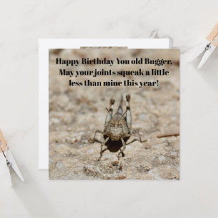 'Happy Birthday You Old Bugger' Grasshopper Card