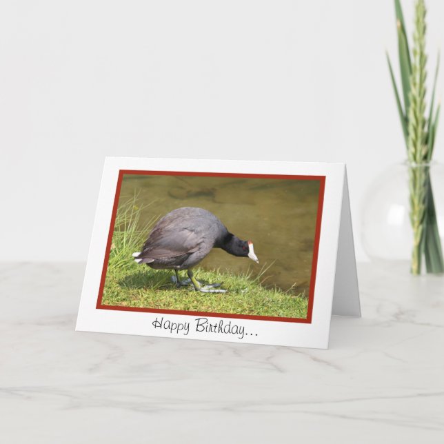 Happy Birthday-You Old Coot Card (Front)