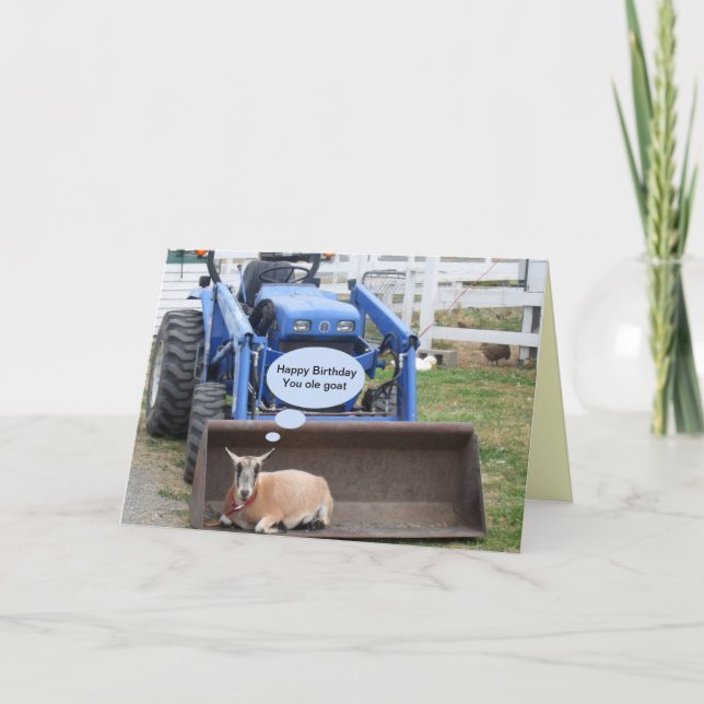 Happy Birthday You Old Goat It is Your Special Day Card (Front)