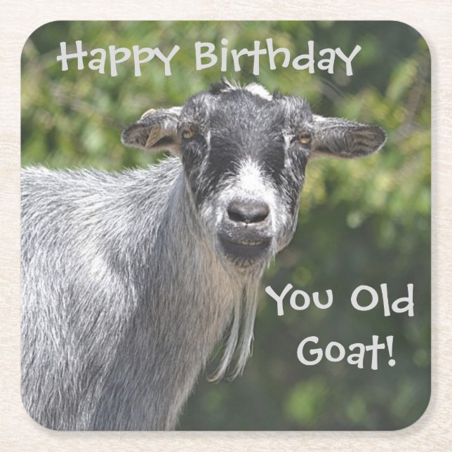Happy Birthday You Old Goat Party Coasters (Front)