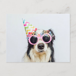 Happy Birthday You Party Animal Postcard