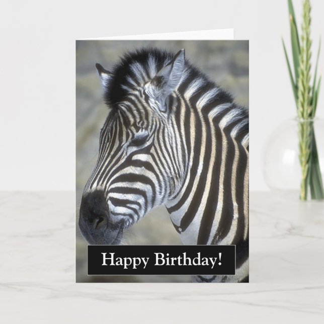 Happy Birthday Zebra Card (Front)