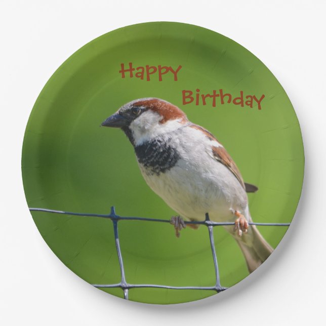Happy Birthdy Bird Plate (Front)