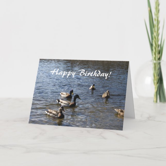 Happy Bithday, wild ducks  in the pond Card (Front)