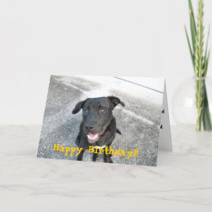 Happy Black Labrador Card