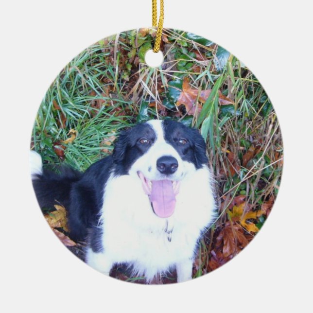 Happy Border Collie Ceramic Ornament (Front)