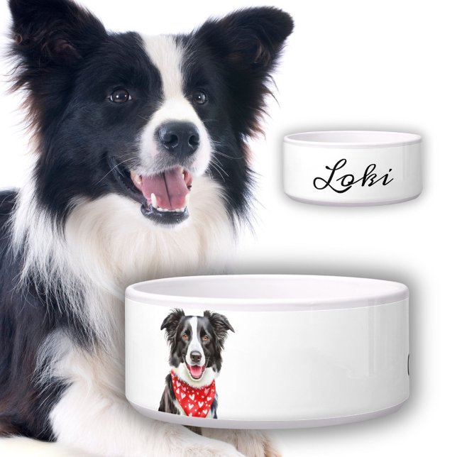 Happy Border Collie Dog`s Name (Creator Uploaded)