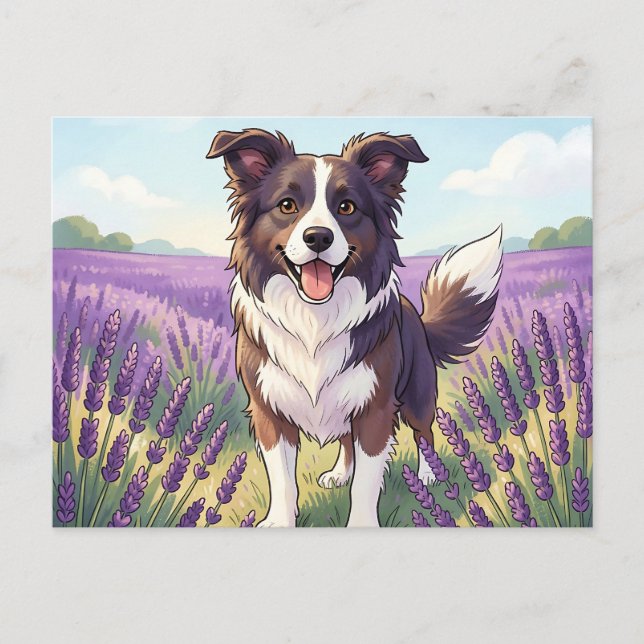 Happy Border Collie Lavender Field Postcard (Front)