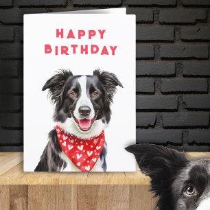 Happy Border Collie Red Heart Bandanna Birthday Card