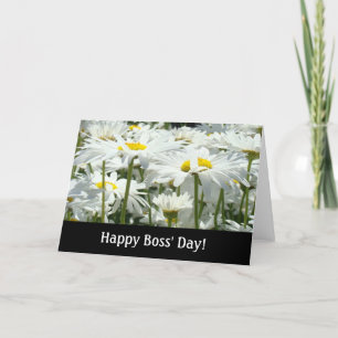 Happy Boss' Day! cards White Daisy Flowers Bosses