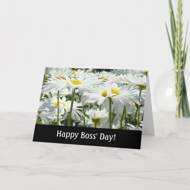 Happy Boss' Day! cards White Daisy Flowers Bosses (Front)