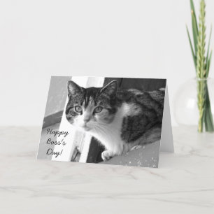 Happy Boss's Day Cat greeting card