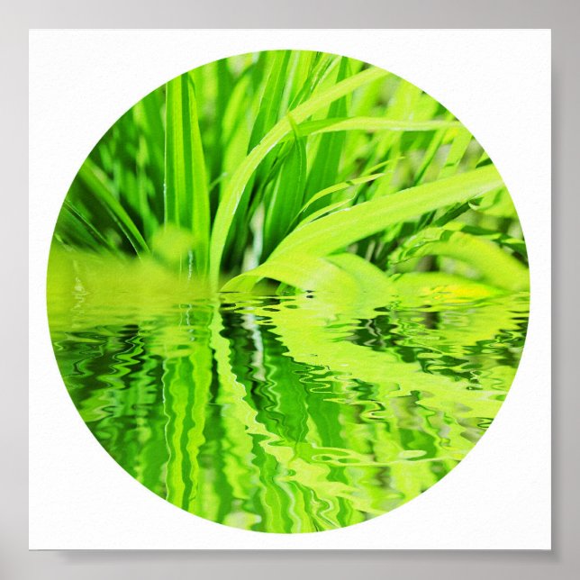 Happy Bright Green Grass Reflection Nature Poster (Front)