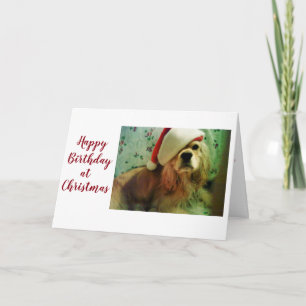 *****HAPPY BRITHDAY AT CHRISTMAS***** TO YOU HOLIDAY CARD