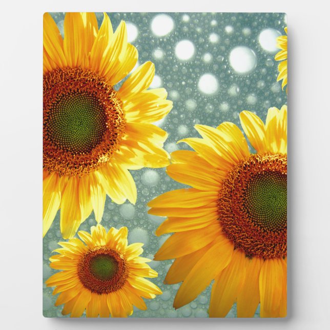 Happy Bubbly Sunflowers Plaque (Front)