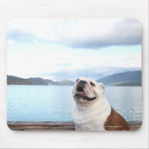 happy bull dog sitting on deck near lake mouse pad