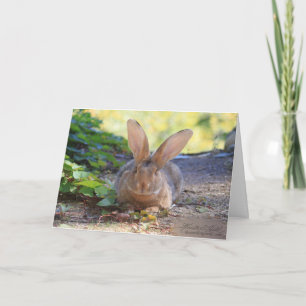 Happy Bunny Day! Card