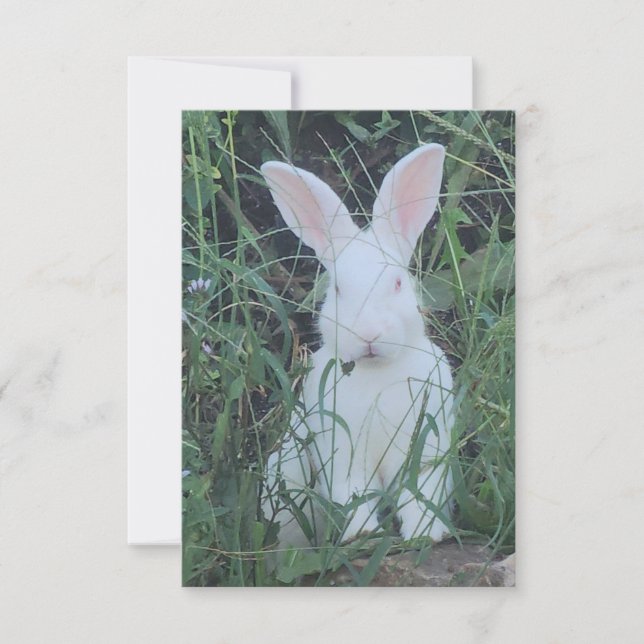 Happy Bunny Thank You Card (Front)