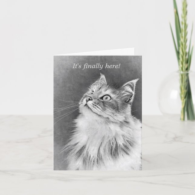 Happy Cake Day! Card (Front)