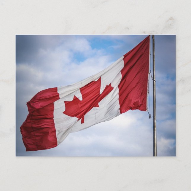 Happy Canada Day Red and White Canadian Flag Postcard (Front)
