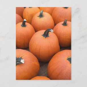 Happy Carving Postcard