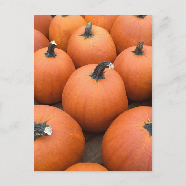 Happy Carving Postcard (Front)