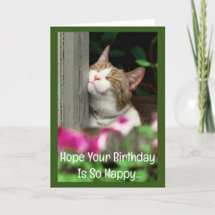 Happy Cat Birthday Card