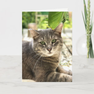 Happy Cat Greeting Card