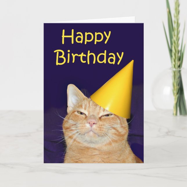 Happy cat Happy Birthday Card (Front)